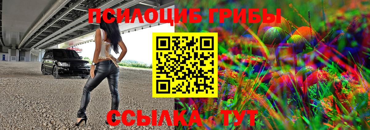Ипатово  Псилоцибиновые грибы мицелий  Вход с VPN 